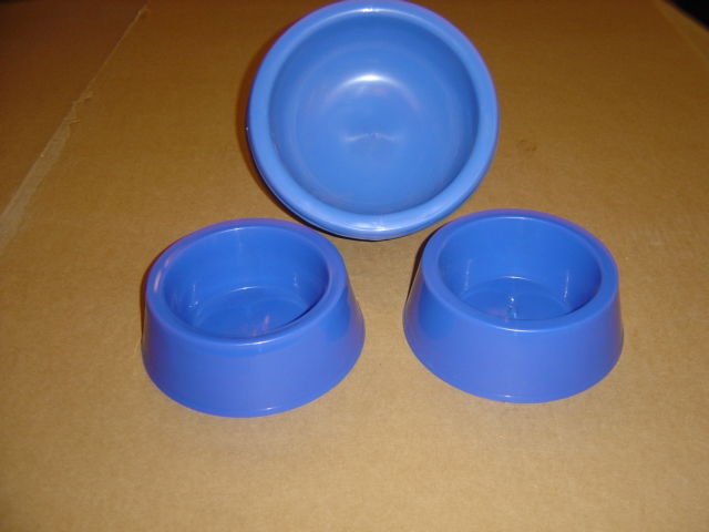 DSC00344.JPG